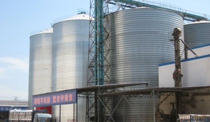 7000 tons Grain Silo Project in Heibei, China