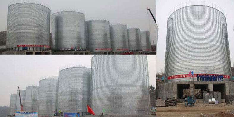 storage silo project in xinyang